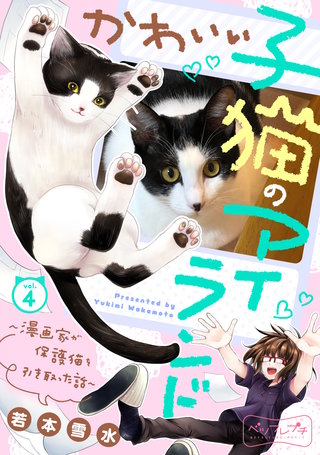 かわいい子猫のアイランド ～漫画家が保護猫を引き取った話～ ベツフレプチ(4)