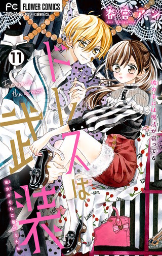 ドレスは武装【マイクロ】(11)