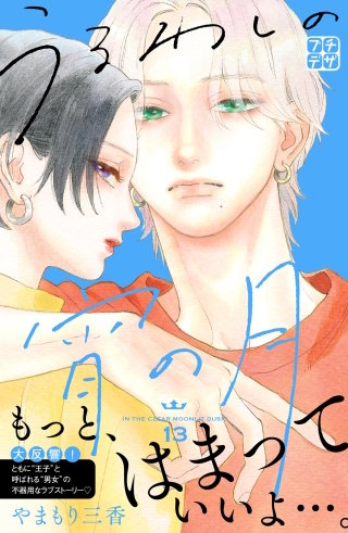 うるわしの宵の月 プチデザ(13)