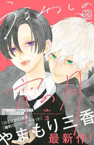 うるわしの宵の月 プチデザ(3)