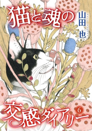猫と魂の交感ダイアリー(6)