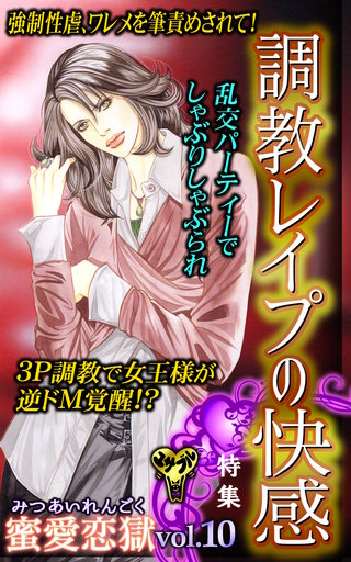 蜜愛恋獄Vol.10～特集／調教レイプの快感コレクション