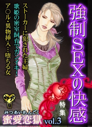 蜜愛恋獄Vol.3～特集／強制SEXの快感