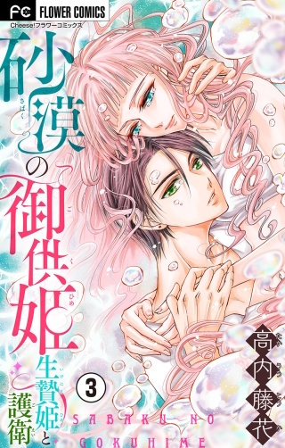 砂漠の御供姫～生贄姫と護衛～【マイクロ】(3)