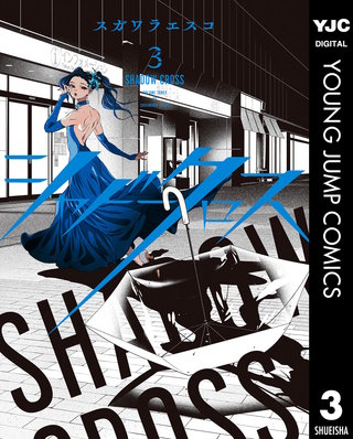 シャドークロス(3)