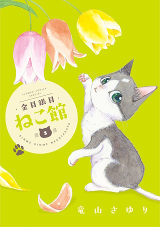 金目銀目ねこ館(3)