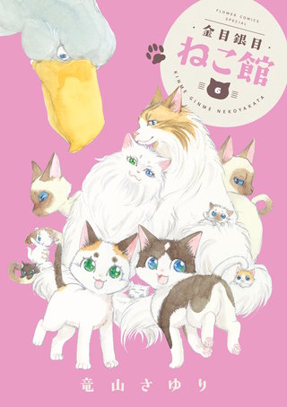 金目銀目ねこ館(6)