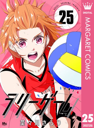 ラリーゲーム(25)