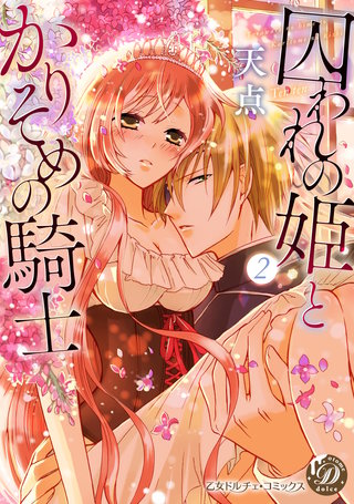 囚われの姫とかりそめの騎士～ひそかな溺愛～　分冊版2話