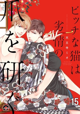 ビッチな猫は好奇心に勝てない（分冊版）(15)