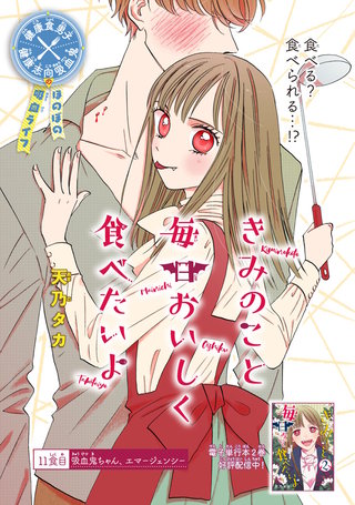 きみのこと毎日おいしく食べたいよ(話売り)(11)