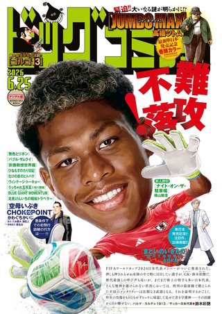 ビッグコミック 2026年12号