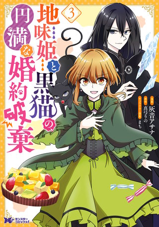 地味姫と黒猫の、円満な婚約破棄(コミック)(3)
