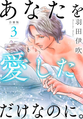 あなたを愛しただけなのに。合冊版3