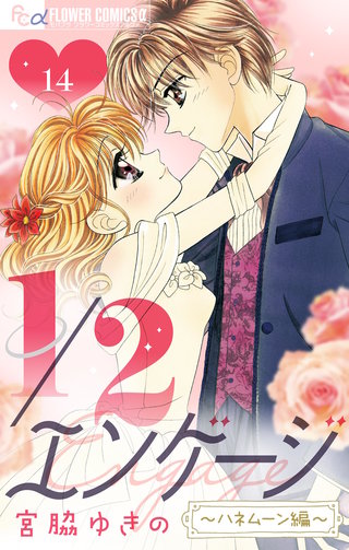 1/2エンゲージ【マイクロ】(14)