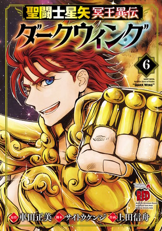 聖闘士星矢 冥王異伝 ダークウィング(6)