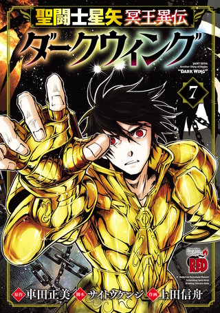 聖闘士星矢 冥王異伝 ダークウィング(7)