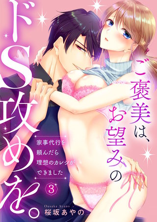 ご褒美は、お望みのドS攻めを。～家事代行を頼んだら理想のカレシができました～(3)