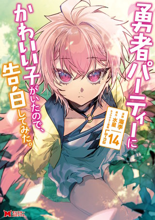 勇者パーティーにかわいい子がいたので、告白してみた。(コミック)(14)