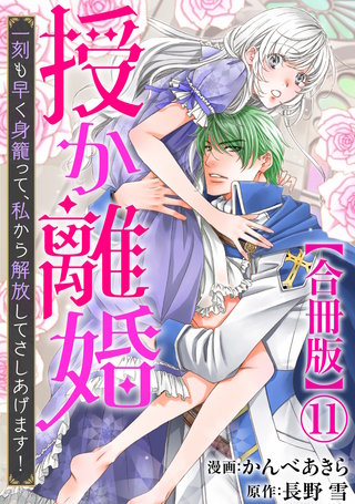 授か離婚～一刻も早く身籠って、私から解放してさしあげます！【合冊版】11