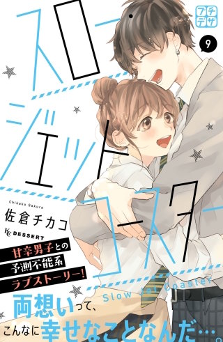 スロー・ジェットコースター プチデザ(9)