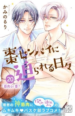 棗センパイに迫られる日々 プチデザ(20)