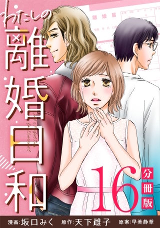 わたしの離婚日和【分冊版】(16)