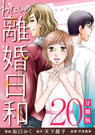 わたしの離婚日和【分冊版】(20)