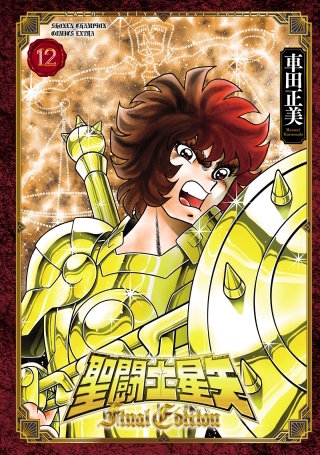 聖闘士星矢 Final Edition(12)