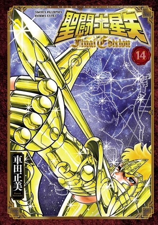 聖闘士星矢 Final Edition(14)