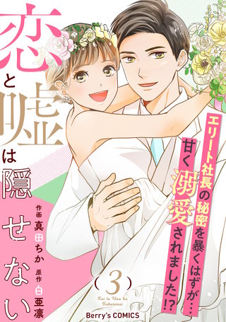 恋と嘘は隠せない(3)