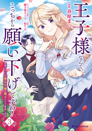 王子様なんて、こっちから願い下げですわ！～追放された元悪役令嬢、魔法の力で見返します～ 3