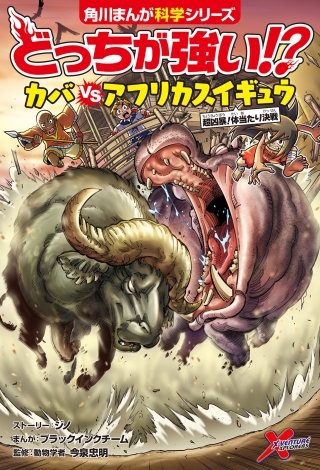どっちが強い!? カバvsアフリカスイギュウ 超凶暴!体当たり決戦
