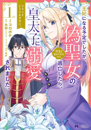 王妃になる予定でしたが、偽聖女の汚名を着せられたので逃亡したら、皇太子に溺愛されました。そちらもどうぞお幸せに。(コミック) 分冊版(30)