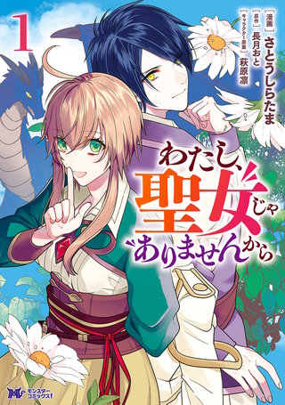 わたし、聖女じゃありませんから(コミック) 分冊版(44)