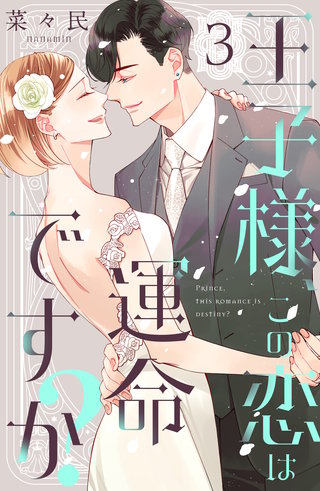 王子様、この恋は運命ですか？(3)