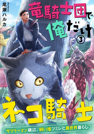 竜騎士団で俺だけネコ騎士～サラリーマン磯辺、飼い猫ツミレと異世界暮らし～3