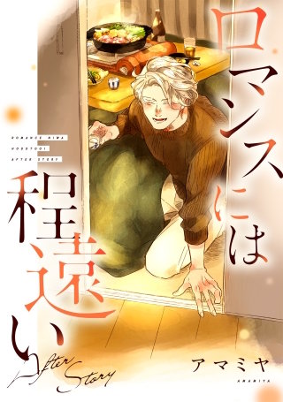 ロマンスには程遠い After Story