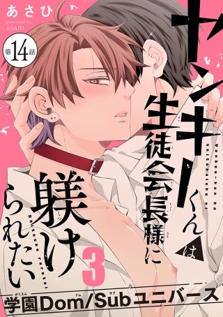 ヤンキーくんは生徒会長様に躾けられたい #14