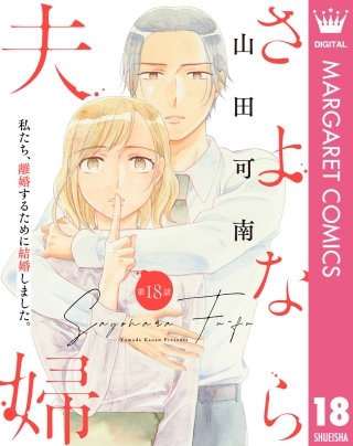 【単話売】さよなら夫婦 18