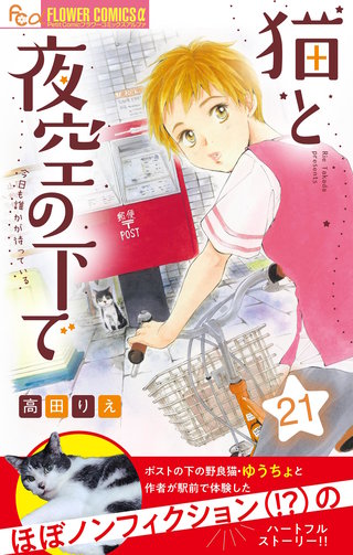 猫と夜空の下で【マイクロ】(21)