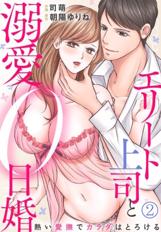 エリート上司と溺愛0日婚～熱い愛撫でカラダはとろける(2)