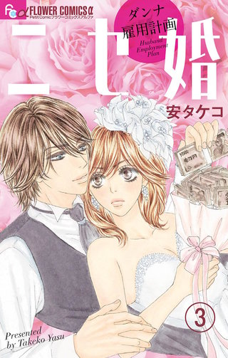 ニセ婚～ダンナ雇用計画～【マイクロ】(3)