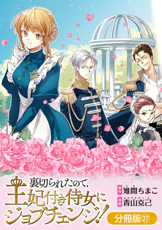 裏切られたので、王妃付き侍女にジョブチェンジ！【分冊版】(27)
