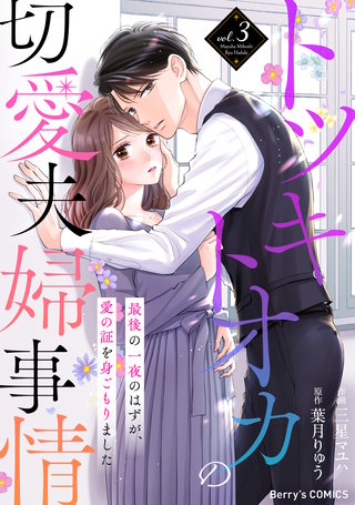トツキトオカの切愛夫婦事情～最後の一夜のはずが、愛の証を身ごもりました～(3)