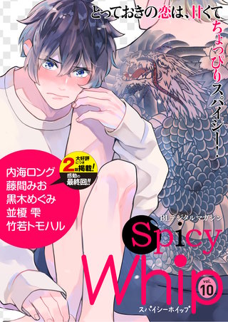 Spicy Whip vol.１０