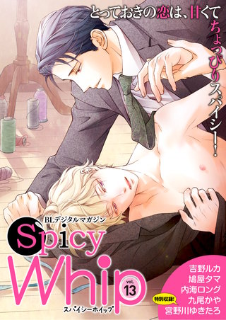 Spicy Whip vol.１３