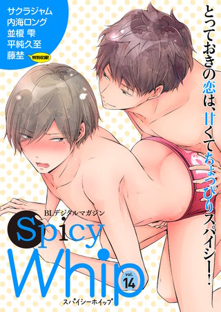 Spicy Whip vol.１４