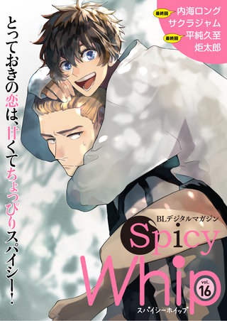 Spicy Whip vol.１６