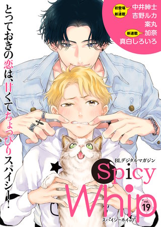 Spicy Whip vol.１９